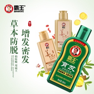 霸王防脱发洗发水套装育发防脱洗发液380ml*2+生姜洗发露80ml+护发素80ml（增发密发控油 男士女士）