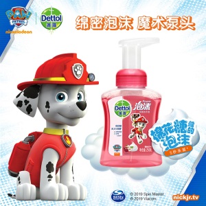 滴露（Dettol）泡沫抑菌洗手液汪汪队樱桃芬芳250+225*2ml  儿童洗手液 5秒杀菌