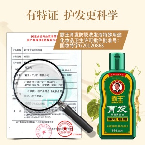 霸王防脱发洗发水套装育发防脱洗发液380ml*2+生姜洗发露80ml+护发素80ml（增发密发控油 男士女士）