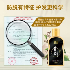 霸王何首乌洗发水防脱套装首乌育发洗发液200ml*2+头皮营养液55ml*2（乌黑浓密 坚固发根）