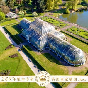 植感哲学Herbal Essences 深层修护摩洛哥坚果油护发素400ml氨基酸无硅油男女士