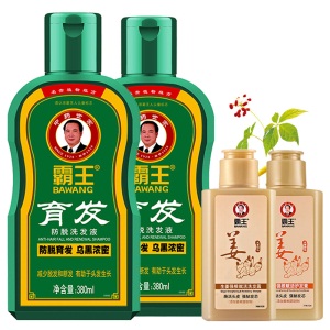 霸王防脱发洗发水套装育发防脱洗发液380ml*2+生姜洗发露80ml+护发素80ml（增发密发控油 男士女士）