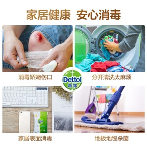 滴露Dettol 消毒液 1.8L 杀菌除螨  家居室内 宠物环境消毒 儿童宝宝内衣 衣物除菌剂