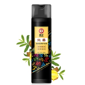 霸王生姜强韧营养护发素450g（润发乳 精华素  强韧赋活 营养发芯）