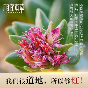 相宜本草 红景天莹透幼白面霜 秋冬保湿霜 50g