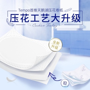 得宝（Tempo）满199减100 卷纸4层160g*20卷 有芯卷筒纸加厚手纸厕纸德宝卫生纸家用 20卷