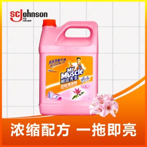 威猛先生 台湾原装进口 地板清洁剂 完美花香 3.785L 地板清洁剂 木地板清洁剂 地板水