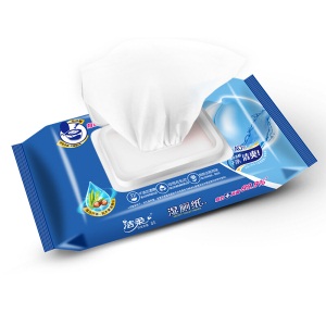 洁柔(C&S)湿厕纸 除菌40片 擦除99.9%细菌（抽取式湿巾）私处消毒卫生清洁湿巾纸 搭配卷纸卫生纸使用