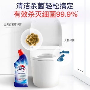 必是寶抗菌洁厕精 清新600ml