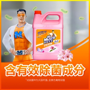 威猛先生 台湾原装进口 地板清洁剂 完美花香 3.785L 地板清洁剂 木地板清洁剂 地板水