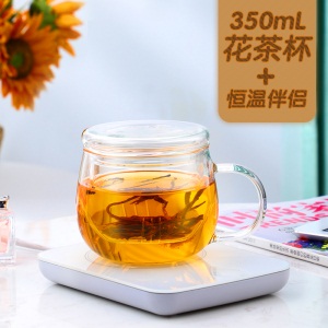富光玻璃杯女茶水分离茶杯带把花茶杯过滤泡茶杯家用带盖水杯子