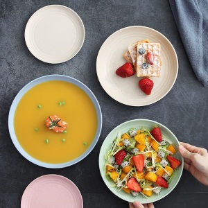 d3小麦盘子菜盘家用套装餐具西餐圆形碗塑料小碟子4个零食水果糖果