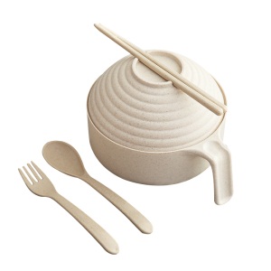 d3日式餐具一人食碗筷套装宿舍学生带盖简约精致单个方便面泡面碗杯