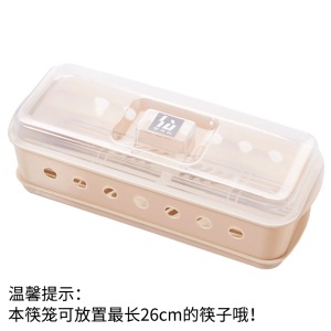d5筷子筒筷子笼筷子盒架桶塑料吸管勺子刀叉带盖沥水托餐具收纳家用