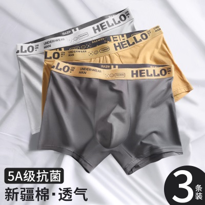 青涩内裤男士夏季100%全棉纯棉抗菌平角短裤衩头男生款大码青少年四角s586p