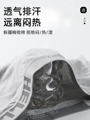 青涩内裤男士夏季100%全棉纯棉抗菌平角短裤衩头男生款大码青少年四角s586p
