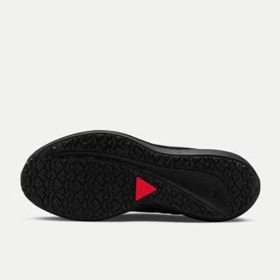 耐克 男子公路跑步鞋 NIKE AIR WINFL 9 SHIELDs447